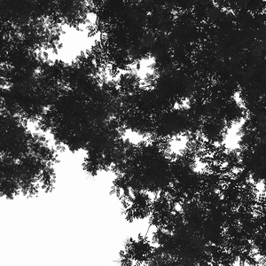 国产高清无码在线a片
