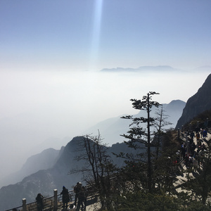 国产高清无码在线a片
